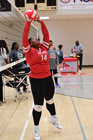 08.14.24 Archer VB & SB-36