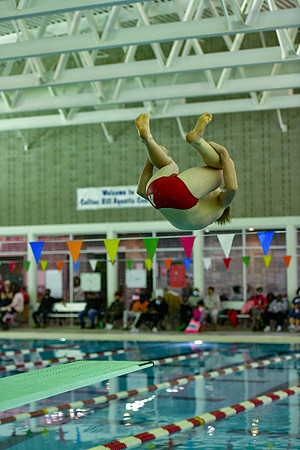 01.15.22 Archer Swim & Dive-230