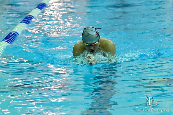 12.20.24 Swim Senior Night-139