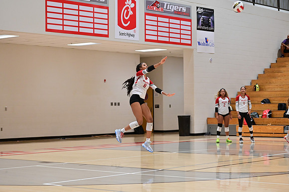 08.13.24 Archer v. Parkview-53