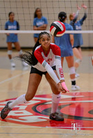 10.17.26 VB Playoffs-10