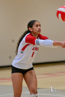 10.17.26 VB Playoffs-15