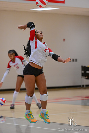 10.17.26 VB Playoffs-69