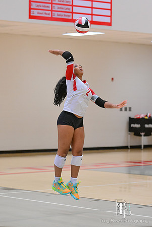 10.17.26 VB Playoffs-215