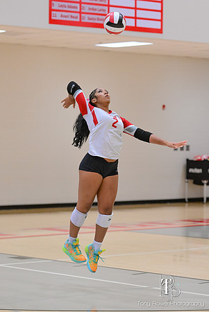 10.17.26 VB Playoffs-214
