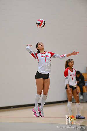 10.17.26 VB Playoffs-98