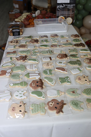 06.24.23 Ashley's Shower-11