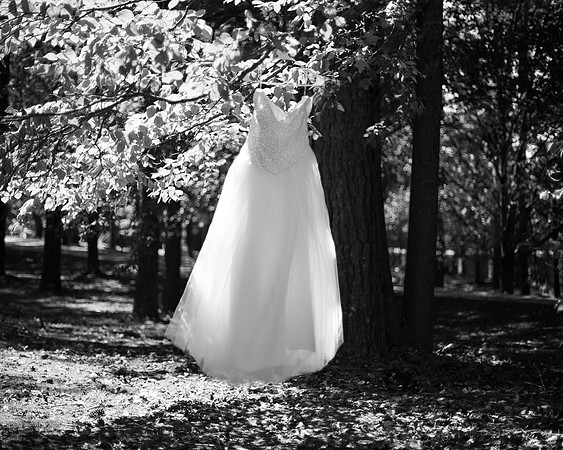GreenWedding_09.01.19_JimLacey-10