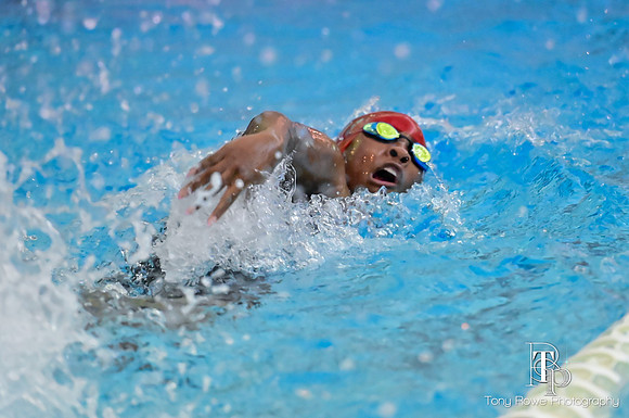 12.20.24 Swim Senior Night-215
