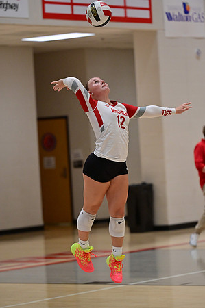 08.14.25 Archer SB VB-131
