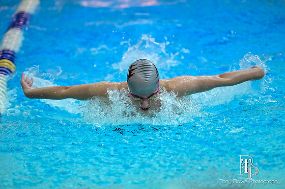 12.20.24 Swim Senior Night-192