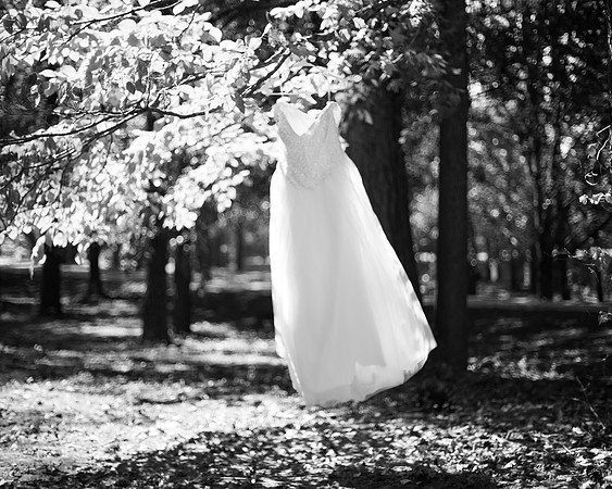 GreenWedding_09.01.19_JimLacey-8