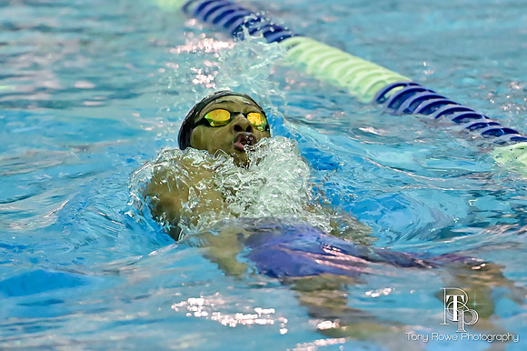 12.20.24 Swim Senior Night-104