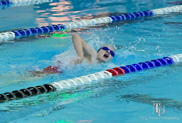 12.20.24 Swim Senior Night-127