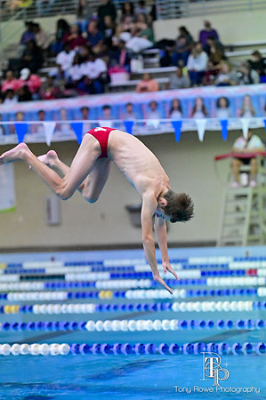 12.20.24 Swim Senior Night-173