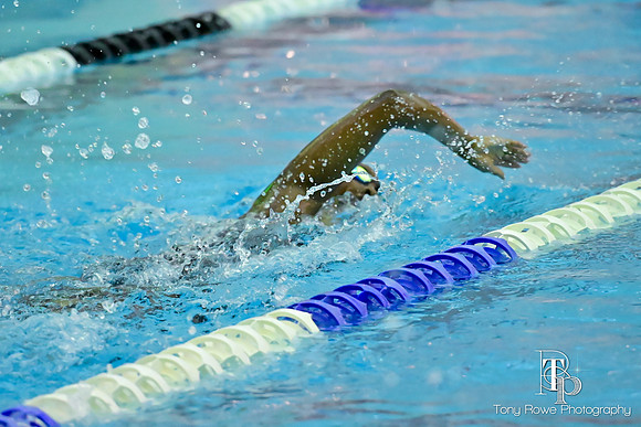 12.20.24 Swim Senior Night-134